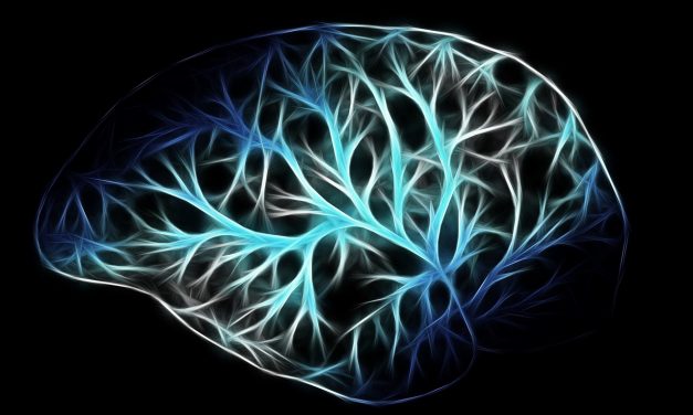 Brains Make Bank on Merch By Amazon