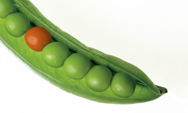Keywords Alone Can’t Save All the Peas in the ‘POD’