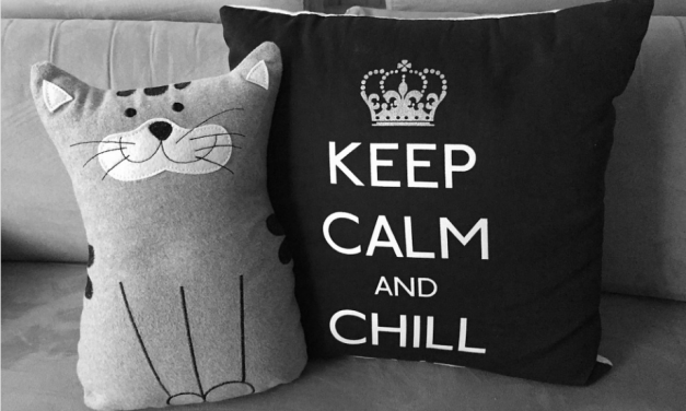 Throw Pillows Thriving with Black & White Designs
